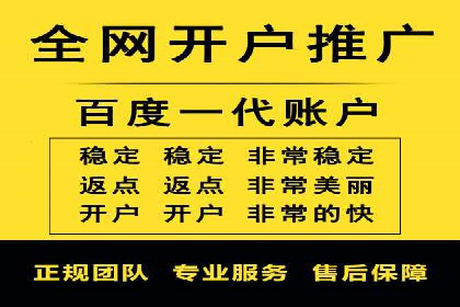 成功SEM代理案例：精准投放的策略